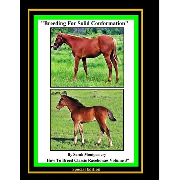 How to Breed Classic Racehorses: Breeding For Solid Conformation (Paperback)