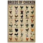 Breeds of Chickens Poster Vintage Metal Tin Signs Coffee Shop Rooster Iron Painting Retro Novelty Funny Bar Pub Restaurant Kitchen Farm Chicken Coop Tin Signs Wall Art Home Decor 8x12 Inch