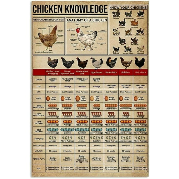 Breeds of Chickens Poster Vintage Metal Tin Signs Coffee Shop Rooster Iron Painting Retro Novelty Funny Bar Pub Restaurant Kitchen Farm Chicken Coop Wall Art Home Decor 8x12 Inch