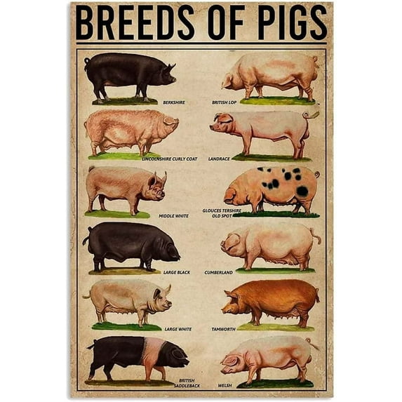 Breeds Of Pigs 120 Piece Wooden Jigsaw Puzzles For Adults Family Elderly Puzzle Game For Family Art Decorations Funny 120 Piece Puzzle Toy Gift For Friend Wife Mom