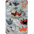 thumbnail image 1 of Breeds of Chickens Chart Vintage Metal Tin Sign For Farm Chicken Coop Wall Decoration 12" x 8", 1 of 2
