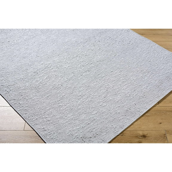 Breena Traditional, Transitional Area Rug - Medium Gray - 2' x 3'