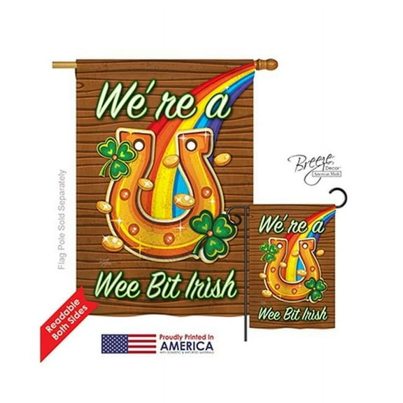 Breeze Decor 02002 St Pats Were a Wee Bit Irish 2-Sided Vertical Impression House Flag - 28 x 40 in.
