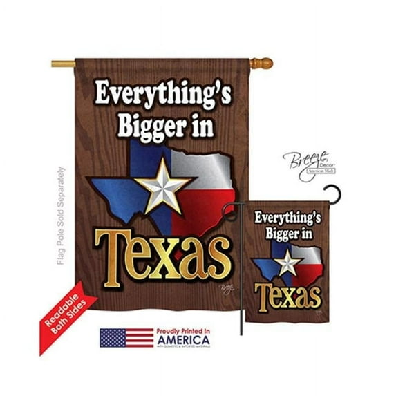 Breeze Decor 08067 States Texas 2-Sided Vertical Impression House Flag - 28 x 40 in.