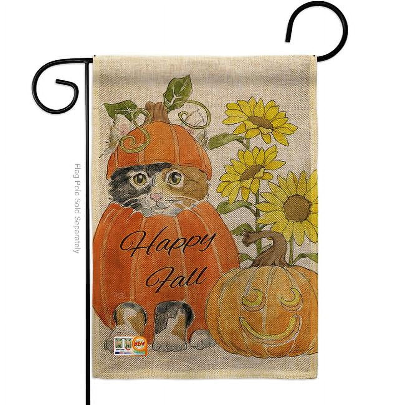 Breeze Decor Happy Harvest Scarecrow Garden Flag Set Fall & Autumn Pumkins ＿並行輸入品 Breeze Decor Happy Harvest Garden Flag Set Wall Hanger Fall \u0026 Autumn  Scarecrow Pumkins Sunflower Leaves Season Autumntime House Decoration  Banner