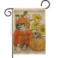thumbnail image 1 of Breeze Decor BD-HA-G-113076-IP-DB-D-US18-WA 13 x 18.5 in. Happy Pumpkin Kitty Burlap Fall Harvest & Autumn Impressions Decorative Vertical Double Sided Garden Flag, 1 of 1