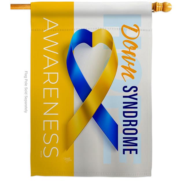 Breeze Decor H115210-BO 28 x 40 in. Down Syndrome Awareness House Flag with Support Double-Sided Decorative Vertical Flags Decoration Banner Garden Yard Gift