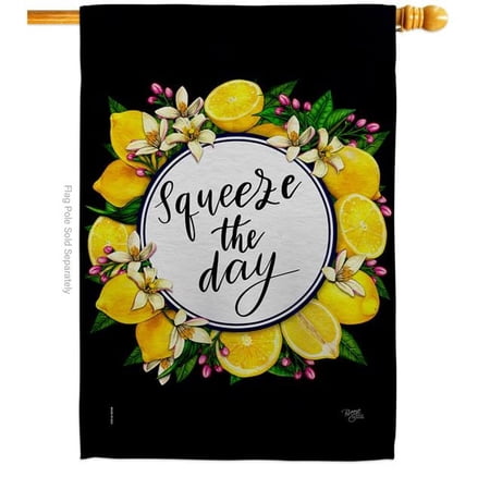 Breeze Decor H120263-BO Squeeze the Day Food Fruit 28 x 40 in. Double-Sided Decorative Vertical House Flag for Decoration Banner Garden Yard Gift