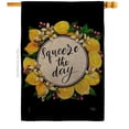 thumbnail image 1 of Breeze Decor H120263-DB Squeeze the Day Food Fruit 28 x 40 in. Double-Sided Decorative Vertical House Flag for Decoration Banner Garden Yard Gift, 1 of 1
