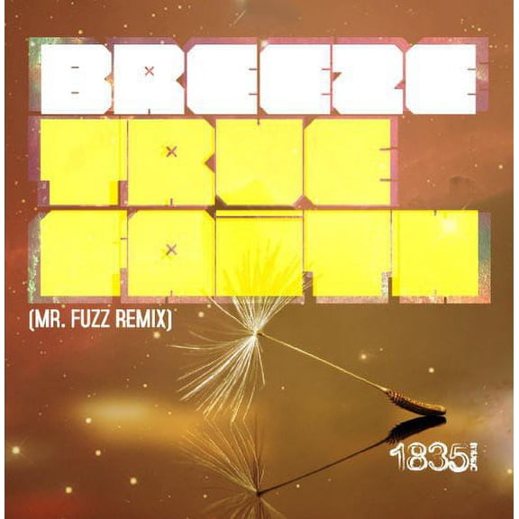 Breeze - True Faith (MR Fuzz Remix) - Electronica - CD