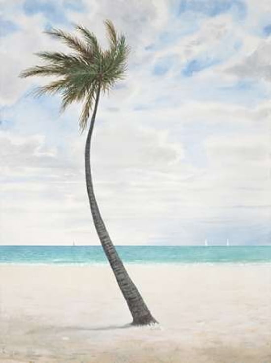 Breezy Palm 1 Canvas Art - Arnie FISK (18 x 24)