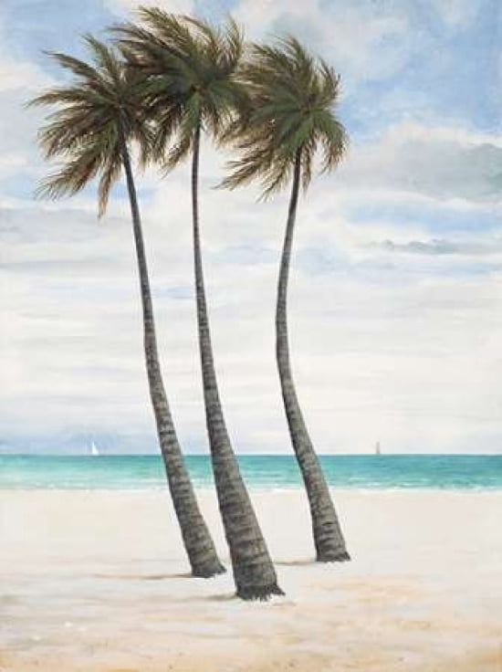 Breezy Palm 2 Canvas Art - Arnie FISK (18 x 24)