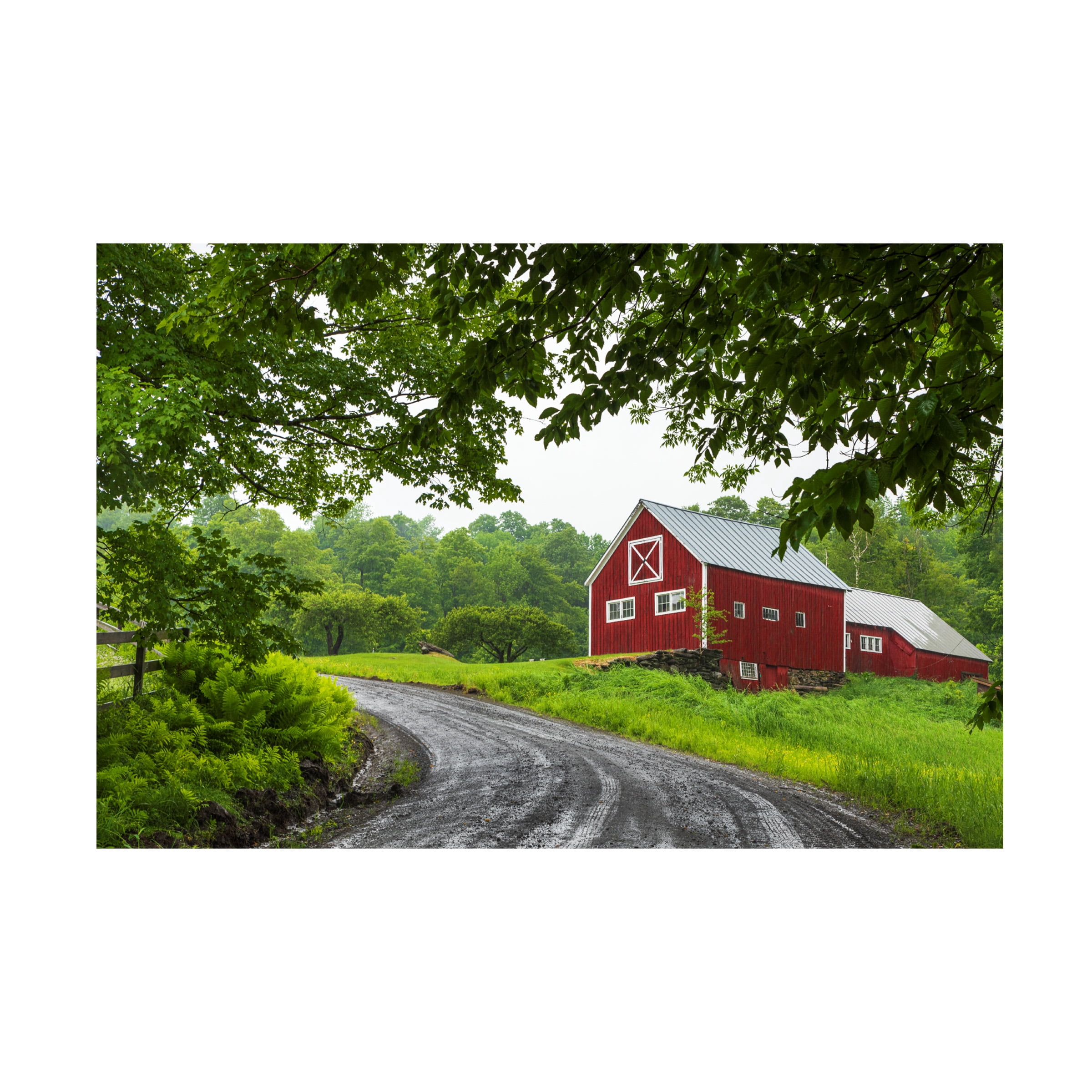 Brenda Petrella Photography LLC 'Coming Home' Canvas Art