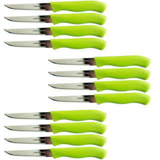  UPTRUST Knife Set, 10-piece Kitchen Knife Set Nonstick Coated  with 5 Blade Guard, Multicolored Fruit Knives, Pioneer Woman Knife Set for  Christmas Gifts : Home & Kitchen
