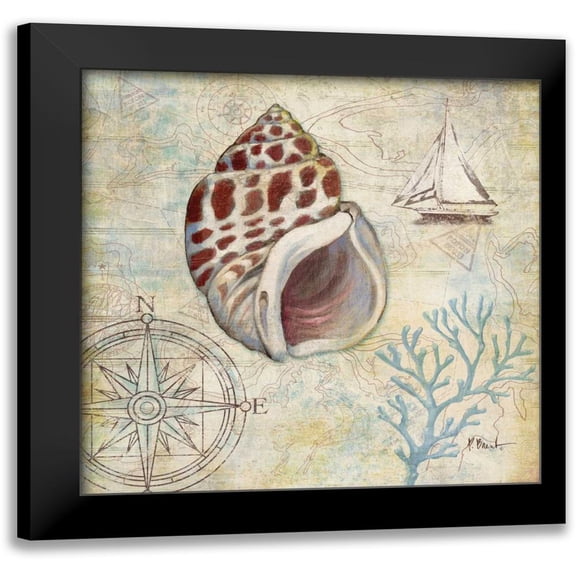 Brent, Paul 12x12 Black Modern Framed Museum Art Print Titled - Discovery Shell IV