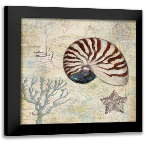 Brent, Paul 12x12 Black Modern Framed Museum Art Print Titled - Discovery Shell I
