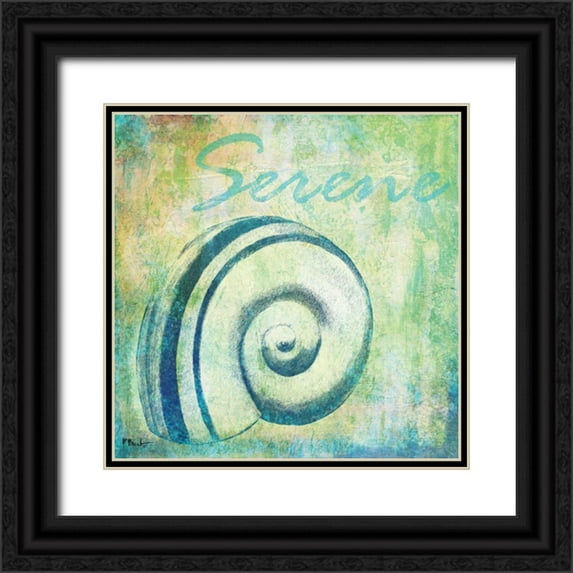 Brent, Paul 15x15 Black Ornate Wood Framed with Double Matting Museum Art Print Titled - Caribbean Shells III