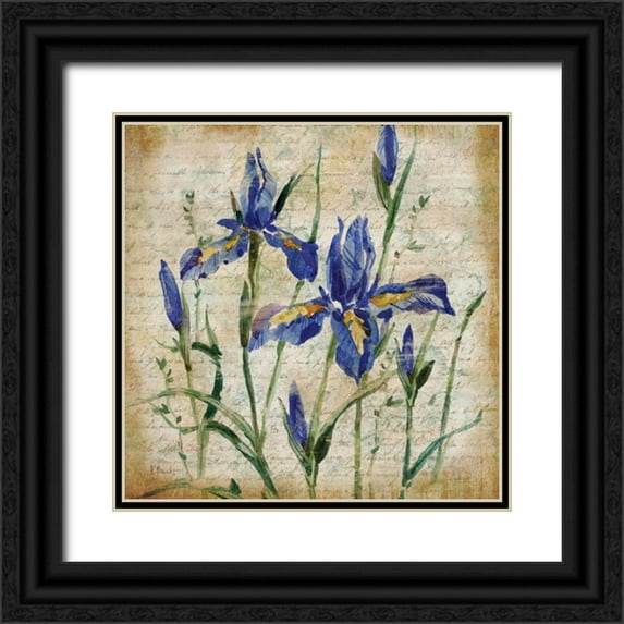 Brent, Paul 15x15 Black Ornate Wood Framed with Double Matting Museum Art Print Titled - Poetic Garden IV