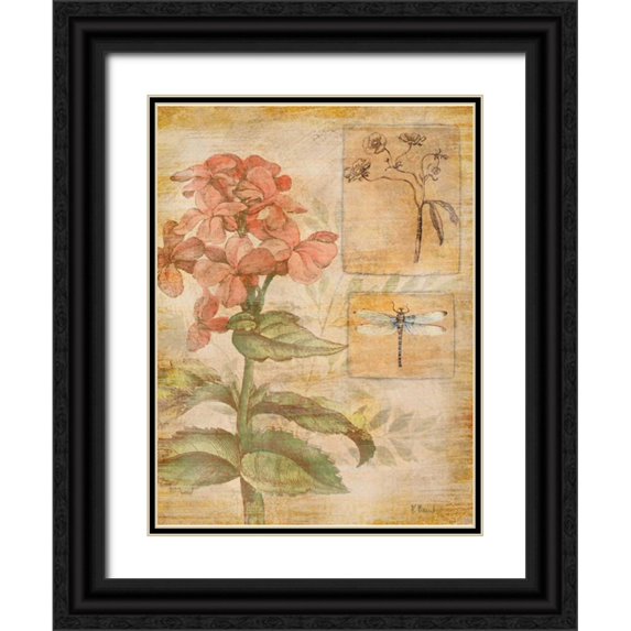 Brent, Paul 19x24 Black Ornate Wood Framed with Double Matting Museum Art Print Titled - Flora Dragonfly