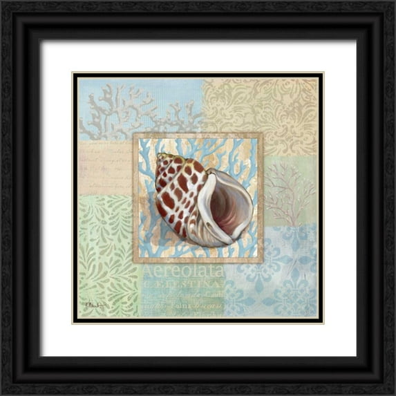 Brent, Paul 20x20 Black Ornate Wood Framed with Double Matting Museum Art Print Titled - Oceanic Shell Collage I