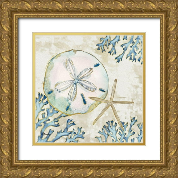 Brent, Paul 20x20 Gold Ornate Wood Framed with Double Matting Museum Art Print Titled - Playa Shells I