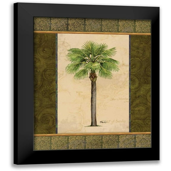 Brent, Paul 20x24 Black Modern Framed Museum Art Print Titled - East Indies Palm I