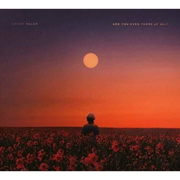 Brent Walsh - Are You Even There At All? - Music & Performance - CD