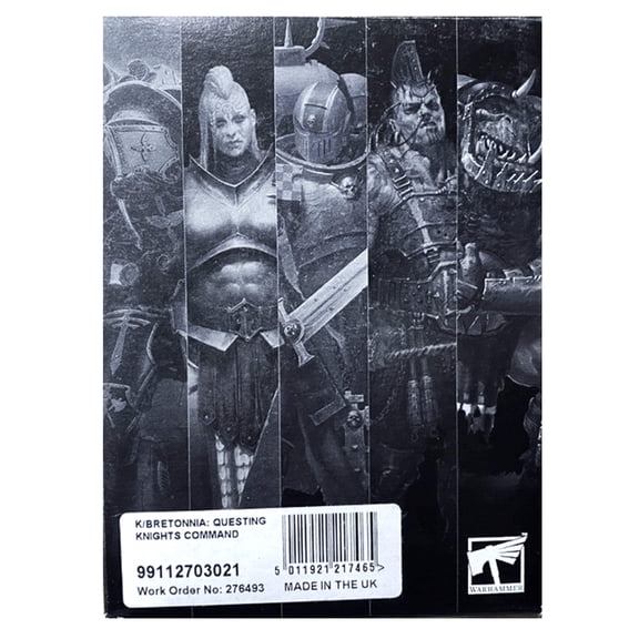 Bretonnian Questing Knights Command Warhammer Old World
