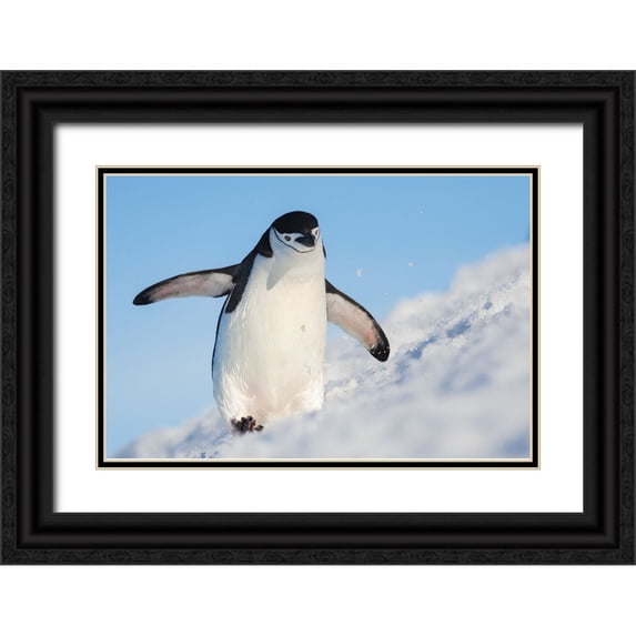 Breuker, Hillebrand 24x17 Black Ornate Wood Framed with Double Matting Museum Art Print Titled - Running Up That Hill