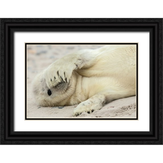 Breuker, Hillebrand 32x23 Black Ornate Wood Framed with Double Matting Museum Art Print Titled - Peekaboo