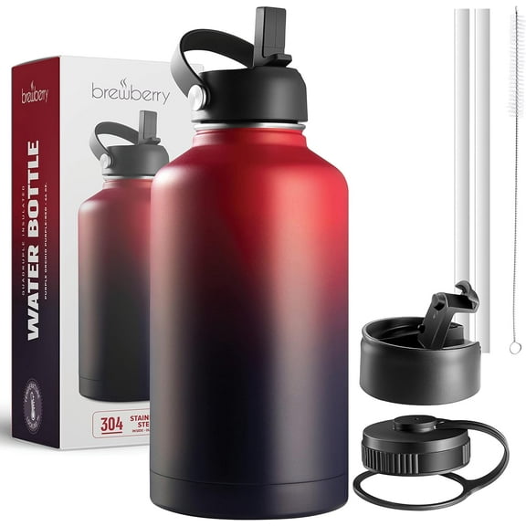 Brewberry Stainless Steel Sports Bottle and Travel Mug for Hot Cold Beverages, Wide Mouth, Double Wall Insulated Hydration Sports Water Bottle for Hiking, Biking,64 OZ BPA Free,Purple Orchid