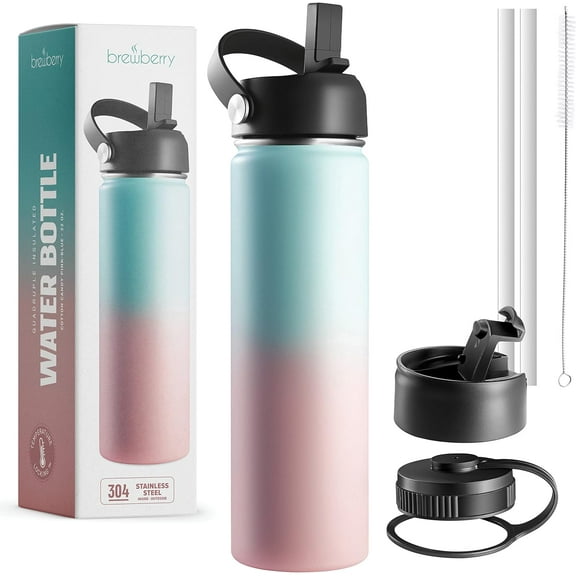 Brewberry Stainless Steel Sports Bottle and Travel Mug for Hot and Cold Beverages, Wide Mouth, Double Wall Insulated Hydration Sports Water Bottle for Hiking, Biking, and Activities, 22 oz BPA Free