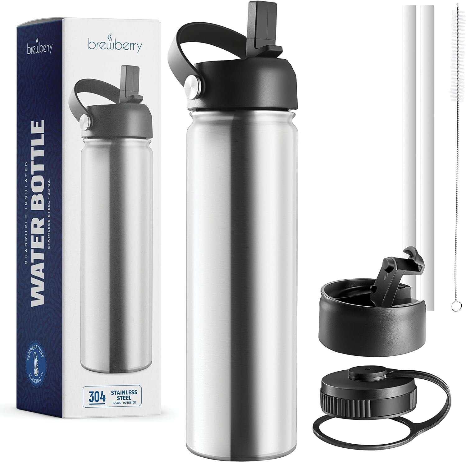 Brewberry Stainless Steel Sports Bottle and Travel Mug for Hot and Cold ...
