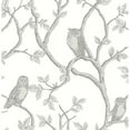 thumbnail image 1 of Brewster Enchanted Forest Grey Owl and Tree Unpasted Non Woven Wallpaper, 20.5-in by 33-ft, 56.4 sq. ft., 1 of 4