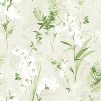 Brewster Floral Green Driselle Wallpaper, 20.5-in by 33-ft, 56.4 sq. ft
