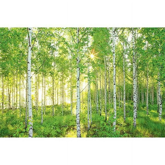 Brewster Home Fashions  Sunday Wall Mural - Birch Forest - 100 in.