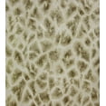thumbnail image 1 of Brewster Montone Taupe Giraffe Wallpaper, 1 of 2