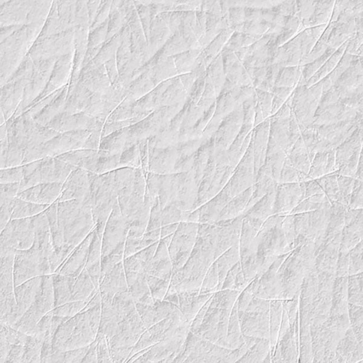 Brewster Wagtail Paintable Armadillo Wallpaper, 20.9-in by 33-ft, 57.5