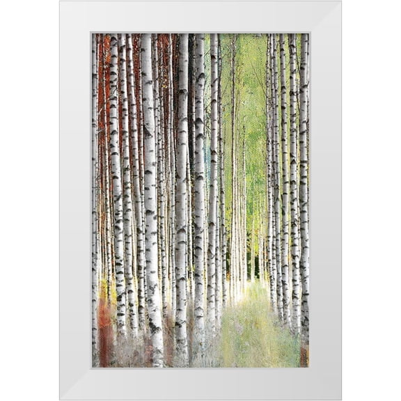Brey 11x14 White Modern Wood Framed Museum Art Print Titled - Abstract Birch II