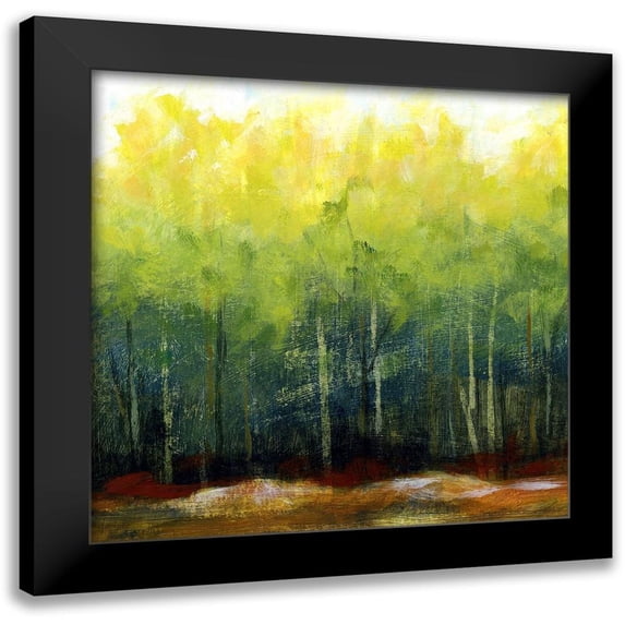 Brey 20x20 Black Modern Framed Museum Art Print Titled - Fall II