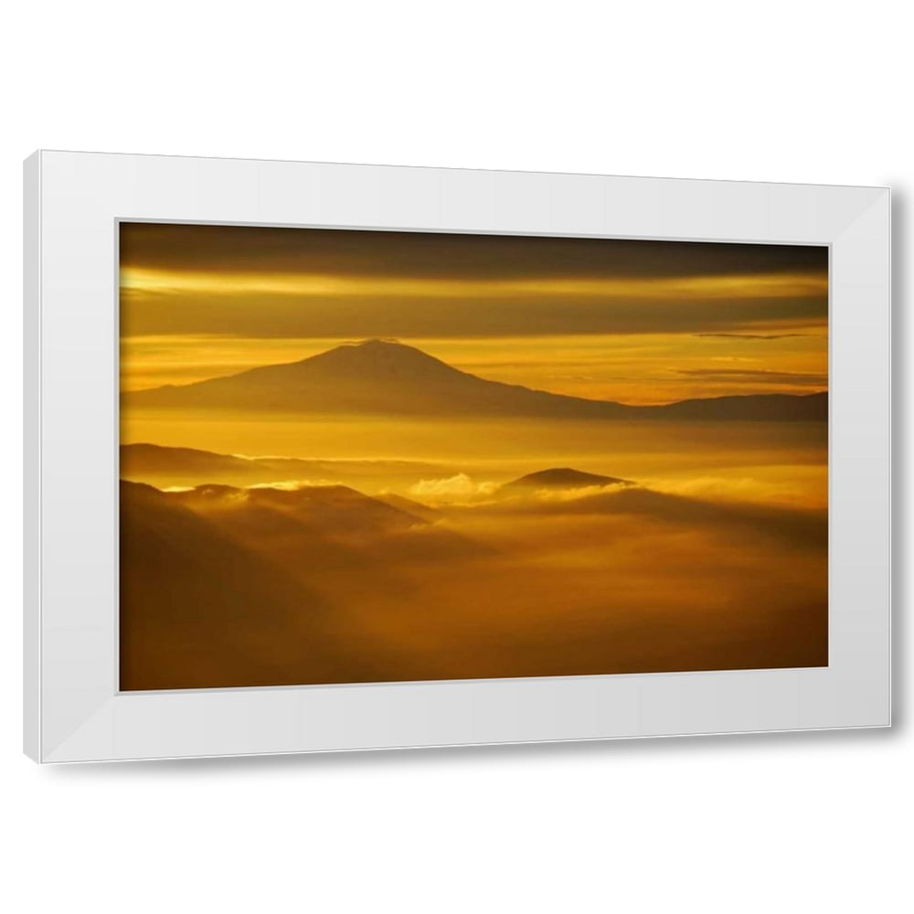 Brian Kidd 32x23 White Modern Wood Framed Wall Art Titled - Rainier ...