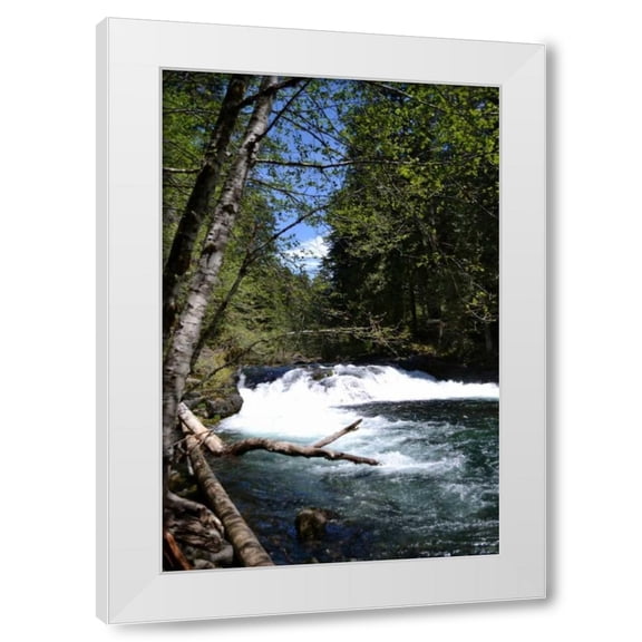 Brian Moore 11x14 White Modern Wood Framed Wall Art Titled - Rapids II