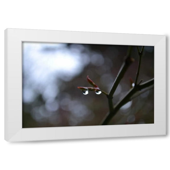 Brian Moore 14x11 White Modern Wood Framed Wall Art Titled - Dew Drops