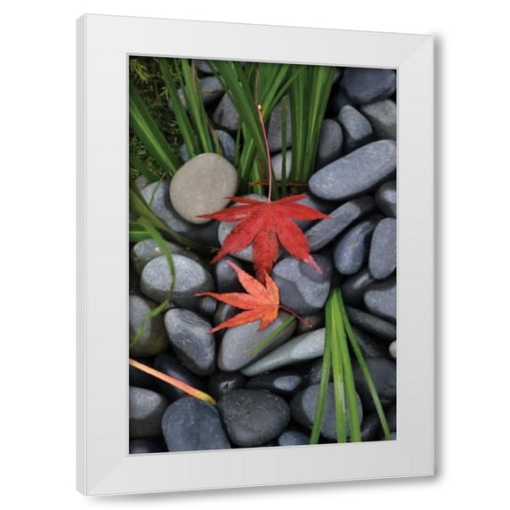 Brian Moore 23x32 White Modern Wood Framed Wall Art Titled - Maple Leaves I