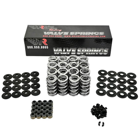 Brian Tooley Racing BTR LS Dual Valve Spring Kit (.660" Lift) with Steel Retainers -Fits LS1 LS2 LS3 LS4 LS6 L76 L92 L99 LQ4 LQ9 L33 LSA