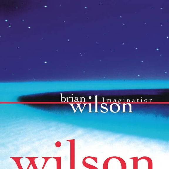 Brian Wilson -- Imagination LP
