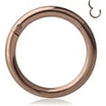 thumbnail image 1 of Briana Williams Stainless Steel Hinged Seamless Segment Hoop Septum Clicker Ring, 1 of 1
