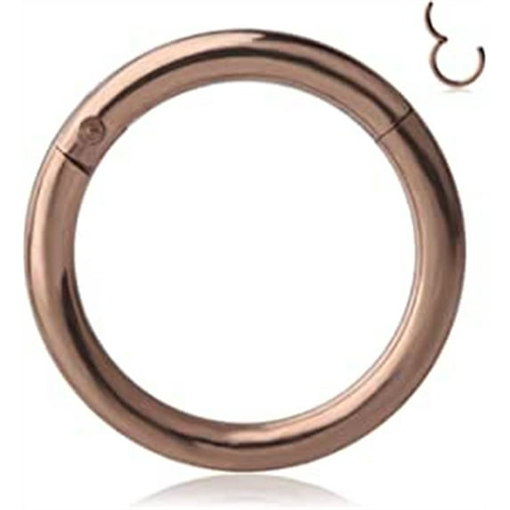 Briana Williams Stainless Steel Hinged Seamless Segment Hoop Septum Clicker Ring