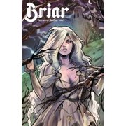 Briar Boom! #1B VF ; Boom! Comic Book