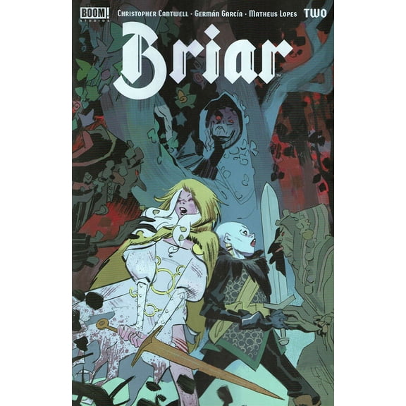 Briar (Boom!) #2 VF ; Boom! Comic Book